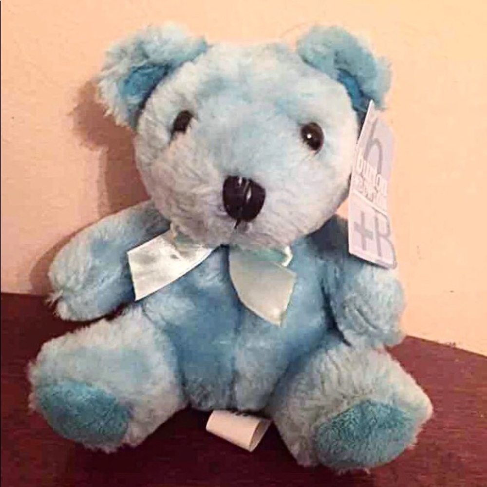 ❤️Colorful Plush Bears (Blue)❤️